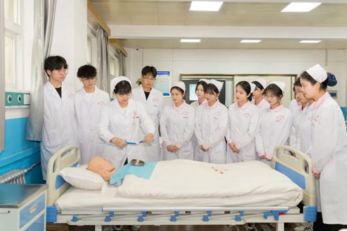 守护生命健康，培育专业人才——西安翻译学院护理与康复学院介绍